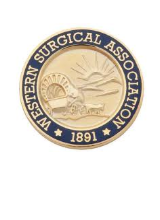 Western Surgical Association (WSA) 126th Scientific Session 2018 Annual Meeting , Nov 03 - 06, 2018 at JW Marriott Los Cabos Beach Resort and Spa, San Jose del Cabo, Baja California Sur, Mexico.